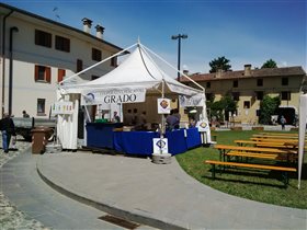 Clauiano 2015